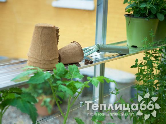 Теплица Juliana Gardener Aluminium, ширина 3,68 метра